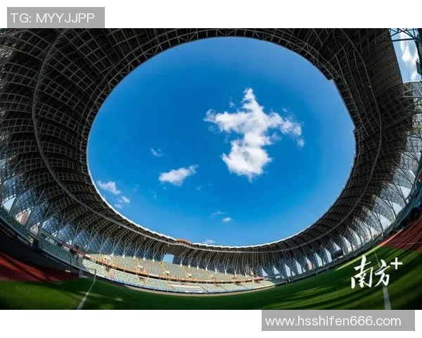 足球芦苇的魅力与挑战探索绿茵场上的自然之美与人文情怀